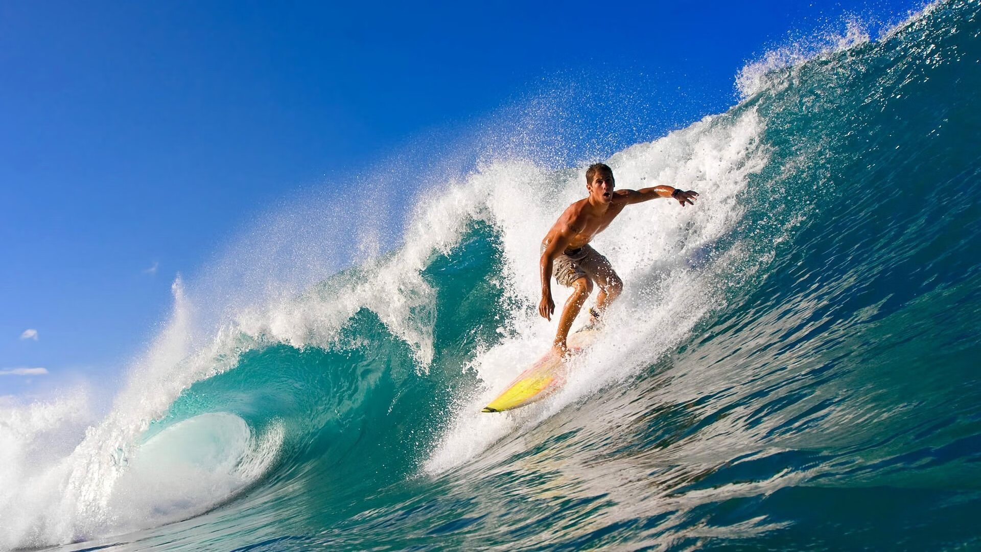 球迷文化新浪潮,从看台到社区,体育精神的多元表达