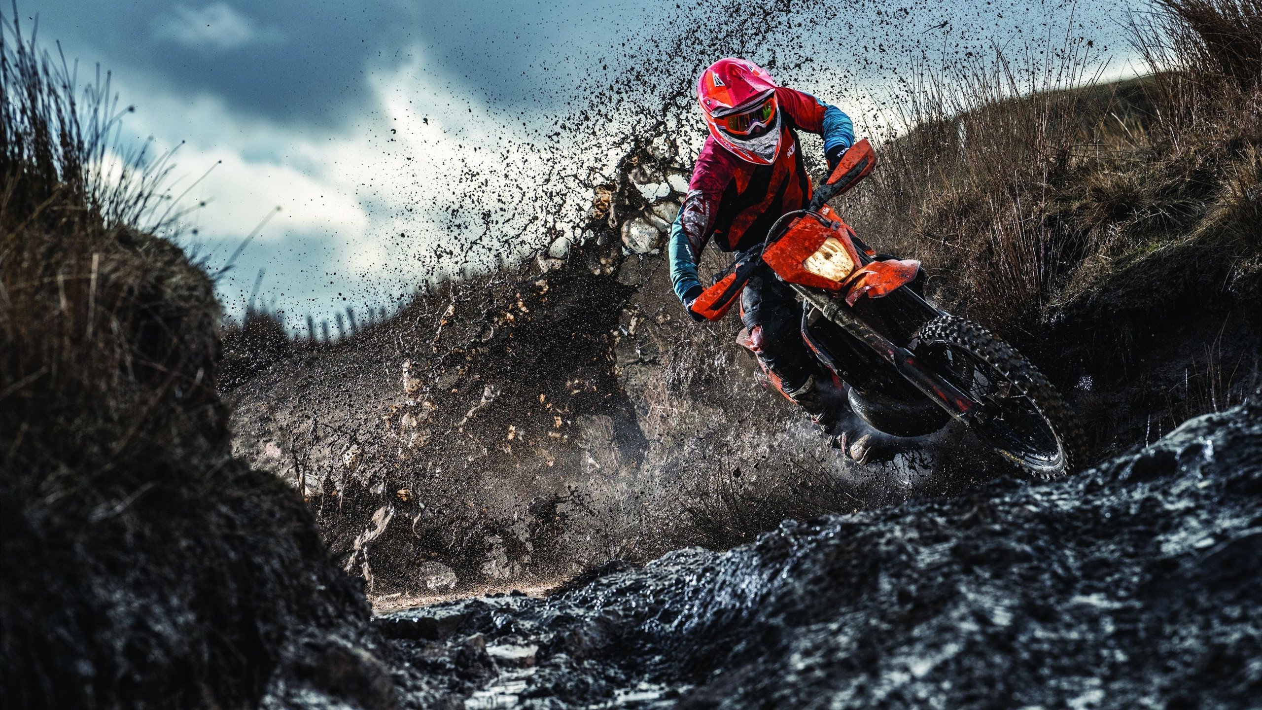 百米飞人巅峰对决，新星闪耀，传奇再续