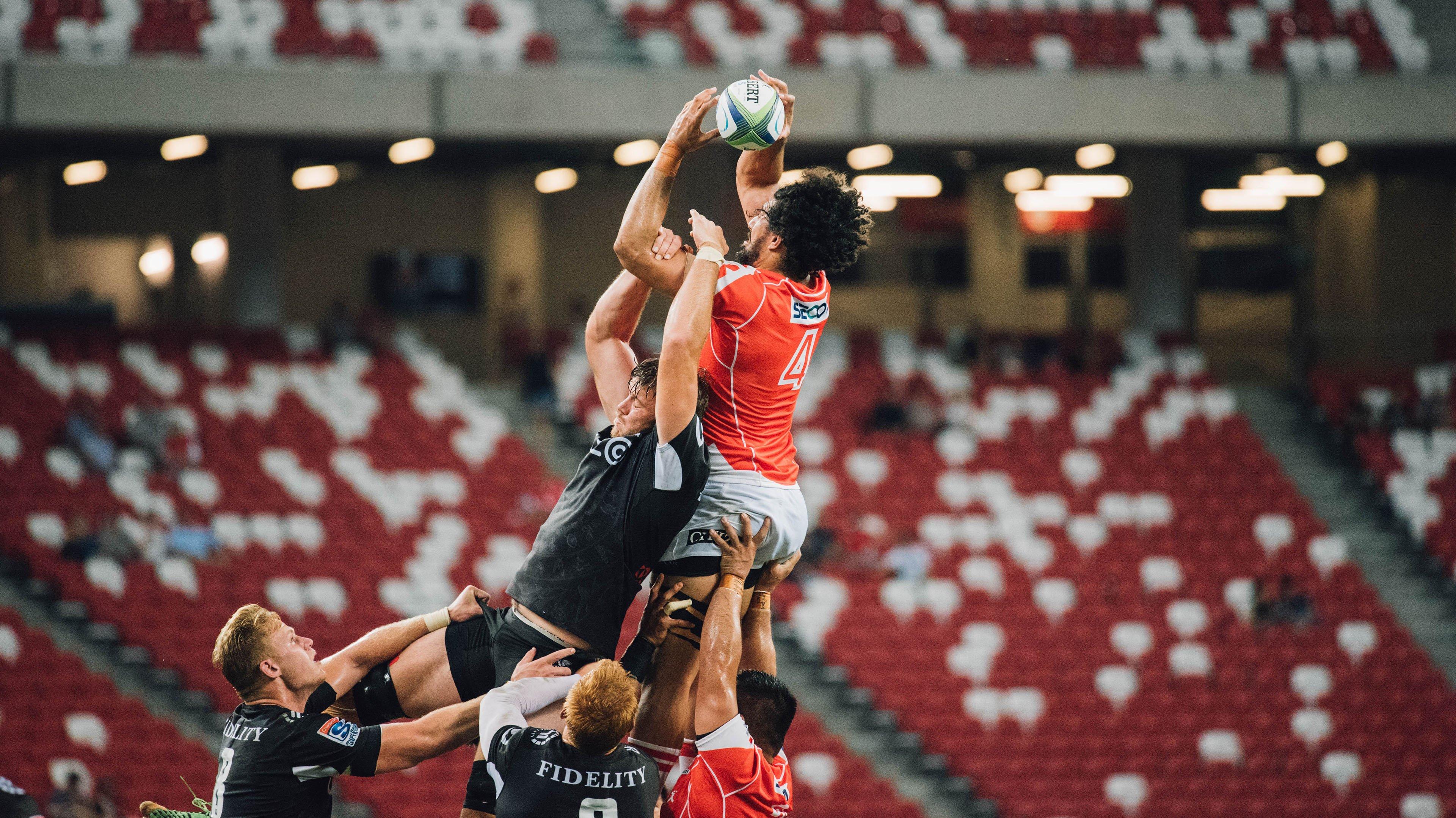 肌肉黑猫震撼体坛，新星崛起背后的力量革命